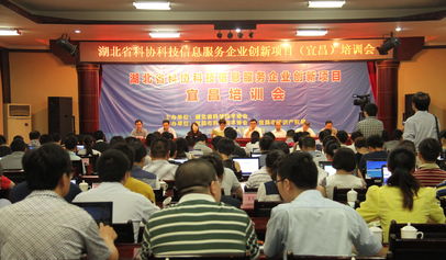 湖北省科學技術協會 賦能企業數字化轉型的信息技術咨詢服務